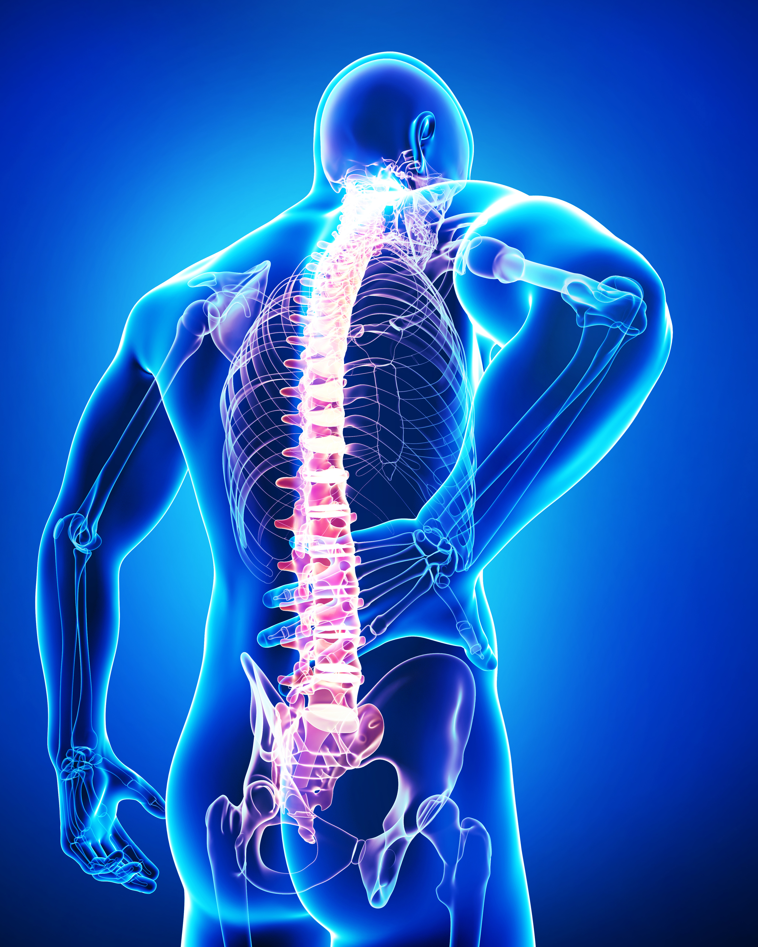 Chiropractors Overlook Rib Cage Subluxations: Rehabilitation for Stroke  Victims - Life Chiropractic College West